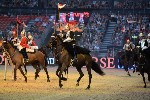 Cavalry - 00127